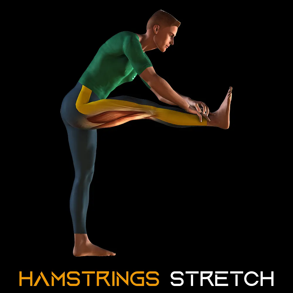 Warming Up - Sprint Coach Gold Coast